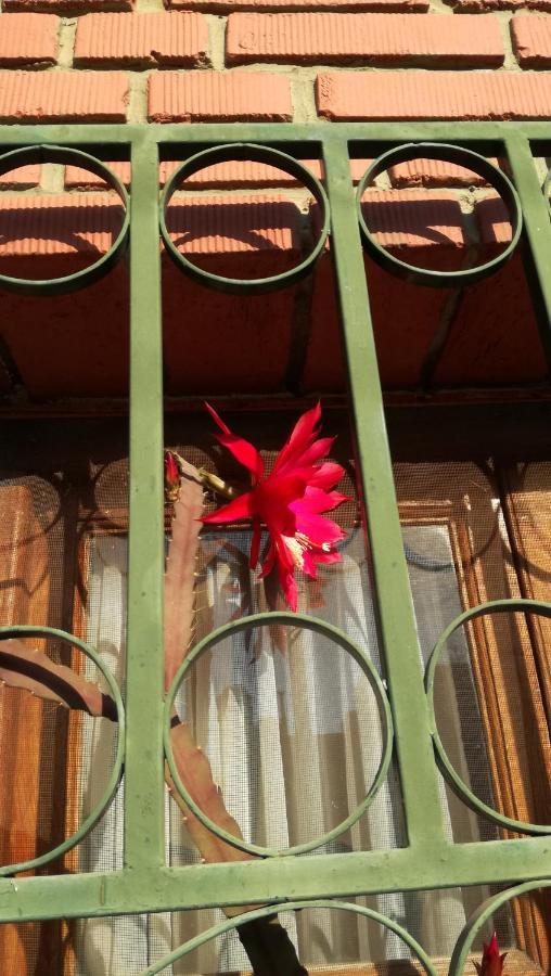 Bed and Breakfast Lo De Su Salta Zewnętrze zdjęcie